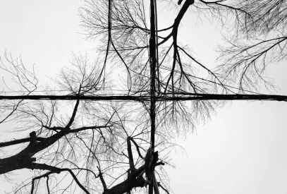 Billion Casino Mobile App